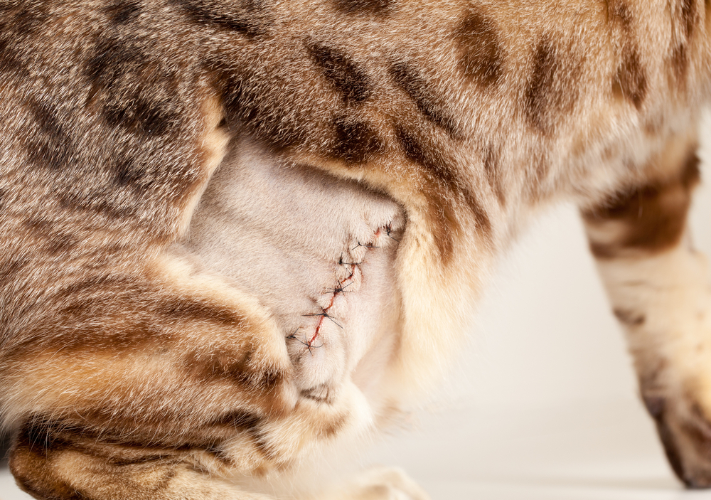 sutures