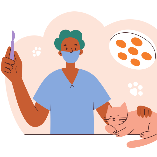 Pet Surgery in Orange County