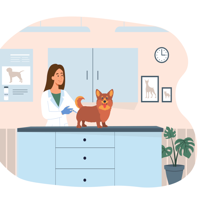 Pet Vaccinations in Orange County